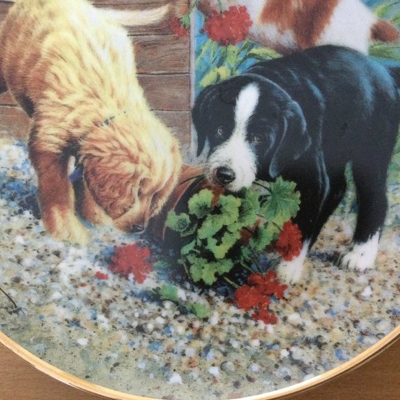 Triple Trouble Collector Plate ASPCA James Killen three puppies dogs gold rim - Picture 4 of 5